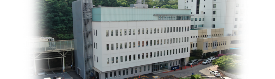 Catholic Institute for Applied Anatomy