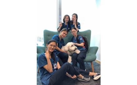 2019학년도 홍콩대학교 간호대학 단기연수